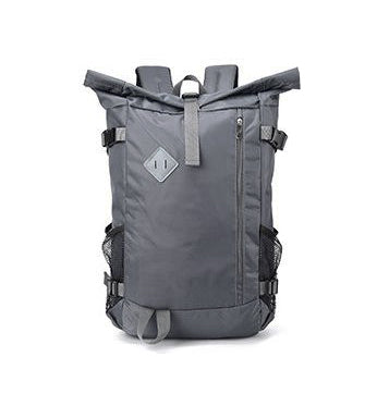 Daytrip 20 L Rolltop Backpack